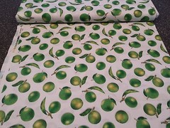 Fresh Picked by VIP Premium BTY Fruit Green Limes on White