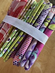 Parisville Deja Vu Fat Stack 6 FQ + 2 one yard cuts by Tula Pink for Free Spirit