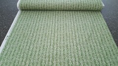 Precious Memories BTY Bessie Pease Quilting Treasure Leaf Vine Ivory Taupe Green