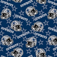 Dallas Cowboys NFL Fleece Fabric – 60″ Wide – Sold by The Yard & Bolt