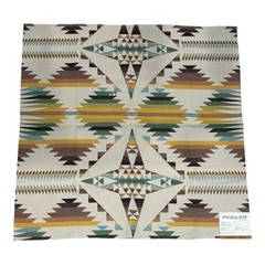 Pindler x Pendleton Sunbrella Upholstery Fabric Sample Lot of 2 27” x 27” Southw