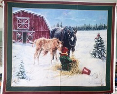 Winter Coats Horse and Boy fabric panel 44″ x 36″