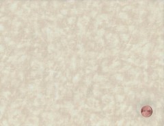 Natural Beige FAT QUARTERS: 10) 18″ x 22″ FQ Bundle, Cotton Fabric, 3 Dups