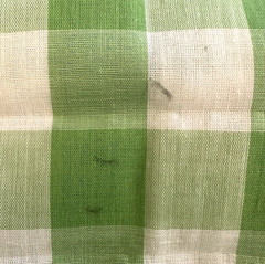 Vintage Large 1 in Gingham Print Fabric Cotton Blend 3 .25 Yds X 44″ Green READ