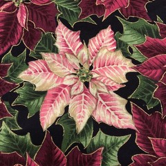 Pink Burgundy Poinsettia Flowers Gold Christmas Fabric Joan Messmore Cotton 2Yds