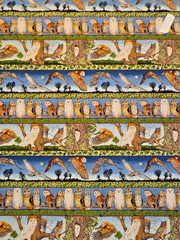 Owl border Makower UK realistic many owl species great colors 32″l x 25″ w +