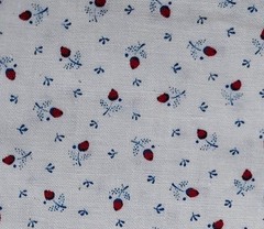 VIP Cranston Print Works Floral Cotton Fabric – Creamy White/Red/Lt Blue – 6 Yds