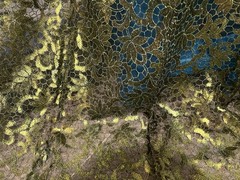 2 Yard Green Sequins Embroidered Lace fabric 50” Width