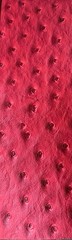 Luvfabrics Ostrich Faux Vinyl Marine Grade UV Resistance Waterproof Red