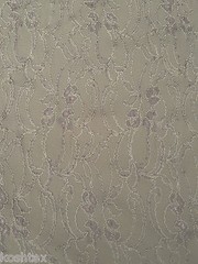 Beige Nylon Spandex French Lace Fabric by the Yard Scalloped Edge