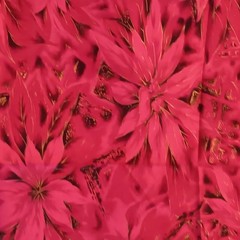 Vtg VHY Hawaiian Textiles Cotton Fabric Red Gold Floral 35 x 4.5 Yds Tropical