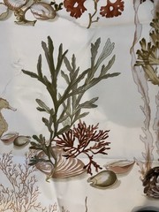 Rare Kravet Couture Barbara Barry Fabric Undersea 2 Yards + 100% Cotton Coastal