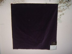 Clarke & Clarke, Palias Velvet, Remnant, 26.50″ W X 26.50″ L, Color Passion