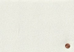 Beige Ivory Natural CHARM PACK: 40) 5″ x 5″ Squares, 100% Cotton Fabric, 1 Dup