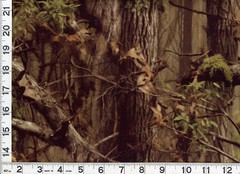 Bark Shadows Woodland Camo Forest Trees Quilting Sewing Fabric by Yard #516 DP