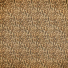 Ottertex Canvas Waterproof Printed Cheetah Fabric Sold By The Yard