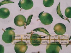 Fresh Picked by VIP Premium BTY Fruit Green Limes on White