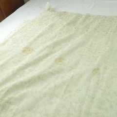 6Y+ x 55″ Vintage Sheer Voile Fabric Drapery Floral Rose Ethereal Sage Green