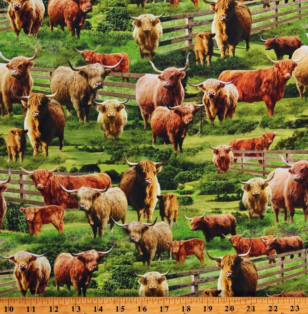 Cotton Highlands Cows Farm Animals Cattle Green Fabric Print by the Yard D370.88