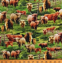 Cotton Highlands Cows Farm Animals Cattle Green Fabric Print by the Yard D370.88