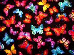 Butterfly Fabric By 1/2 Yard Purple Blue Yellow Butterflies Black Premium Cotton