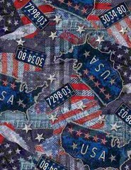 Patriotic Fabric | Route 66 Road Trip Map Toss | Timeless Treasures YARD