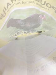 Empty Chicken Feed Woven Plastic Bag Sack Poulin Grain Crafts Art Repurpose