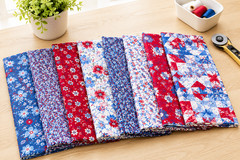 Front Porch Charm Patriotic 4th Main Blue 4693-75 Fabric By half yd cont cuts