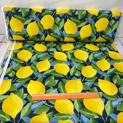 Richloom Solarium Outdoor Fabric Lemons Citrus in Sapphire BTY
