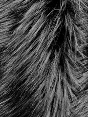 Sasha BLACK 2 Inch Long Pile Soft Luxury Faux Fur Fabric