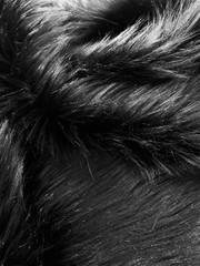Sasha BLACK 2 Inch Long Pile Soft Luxury Faux Fur Fabric