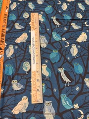 MODA Ruby Star Halloween Freaky Familiars100% cotton fabric by the yard RS519012