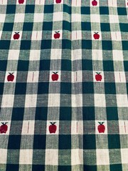VTG Woven Homespun Country Green & Tan Plaid with Apples Hearts 22″X14″
