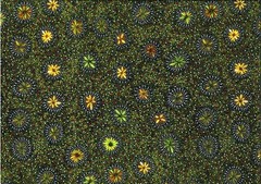 M&S Textiles – Aboriginal – Kangaroo In The Forest By Roseanne Morton Gold, BTY