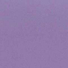 Blizzard Fleece – By The Yard- 58 inches wide – Paisley Purple / Solid Purple
