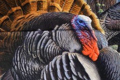 Wild Turkeys Fabric Panel Cotton 36 inches X 45 inches