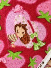 Strawberry Shortcake FLEECE FABRIC 50×66″ Soft Plush