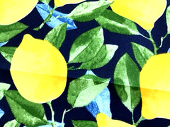Richloom Solarium Outdoor Fabric Lemons Citrus In Sapphire 4.5 Yard Lot