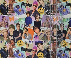 RESERVED Cotton Woven Fabric Justin Bieber Singer Artist Preorder