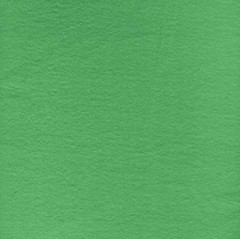 Fleece Solid Yukon Kelly Green 380 gram Solid Fleece Fabric by the Yard A502.83