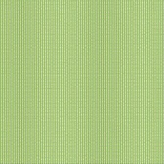 KimberBell Basics By Maywood Studio – Green Perforated Stripe #8259-G