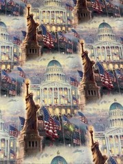 Thomas Kinkade Capitol American Flag Statue Of Liberty Fat Eight 9”x21” New