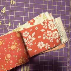 30 Jelly Roll Pieces Of 2 1/2” Cotton Quilt Fabric Moda Peach Corey Yoder Floral