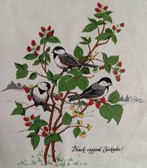 6.75″x8.25″~Vtg~”American Song Birds”~”Black-capped Chickadee”~Cotton Fabric