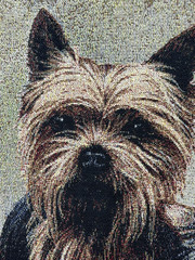 Yorkie Tapestry Fabric ( ONE PANEL ) Robert J May Artwork, Art=~17.375” x 15.75”