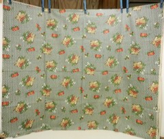 Piney Woods Collection by Diane George Coated Fabric Strawberries Flowers Quarts