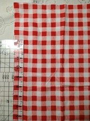 REMNANT Pioneer Woman Floral Cotton Red Gingham 18″ x 8″ plus