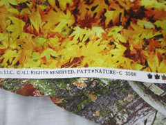 Timeless Treasures of SoHo Cotton Fabric – Nature – Fall – 40″ x 1.16 yard
