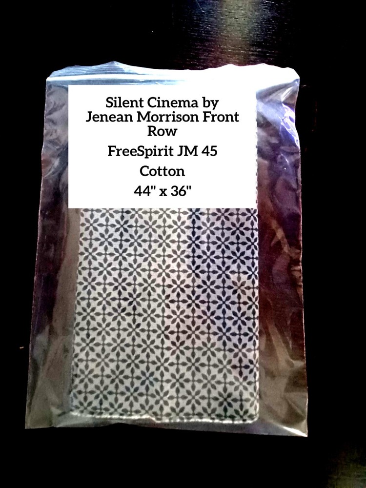 Silent Cinema by Jenean Morrison Front Row – JM 45 – FreeSpirit – 44″ x 36″