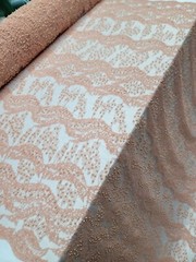 Deluxe PEACH Embroidered Handmade Lace By The Yard_ Hand Beaded Mesh Lace Fabric